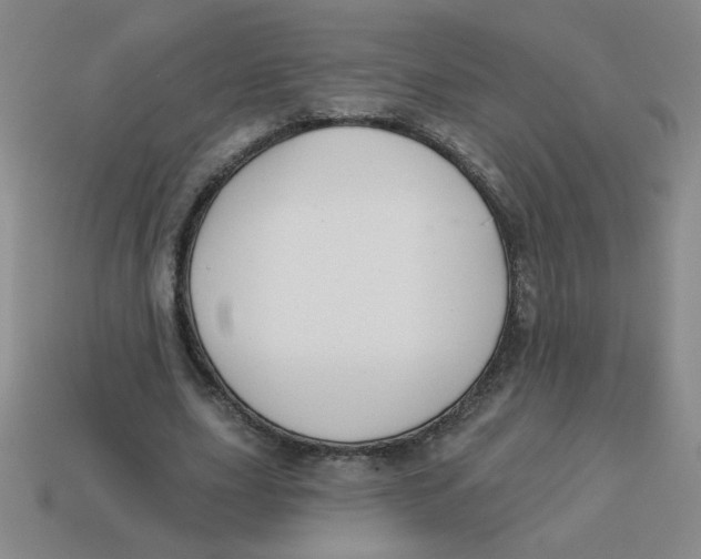 X0000113340631200910131219