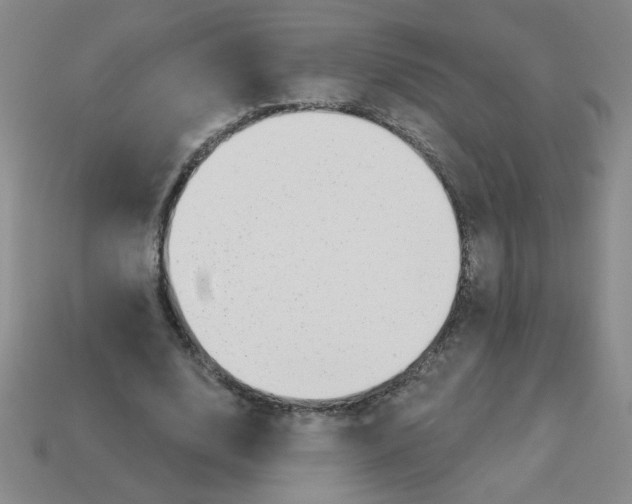 X0000113340632200910131219