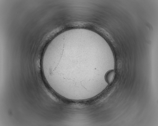 X0000113340633200910131219