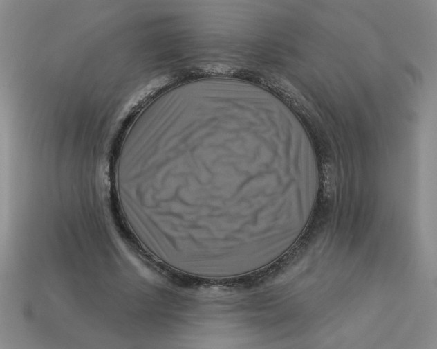 X0000113340634200910131219