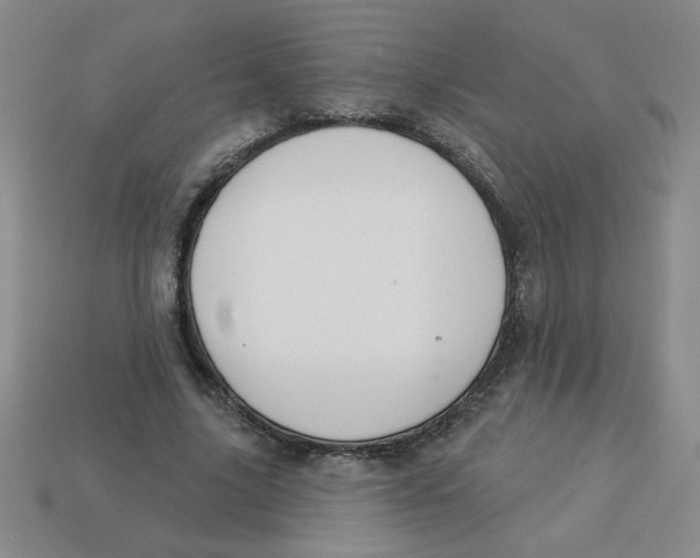 X0000113340635200910131219