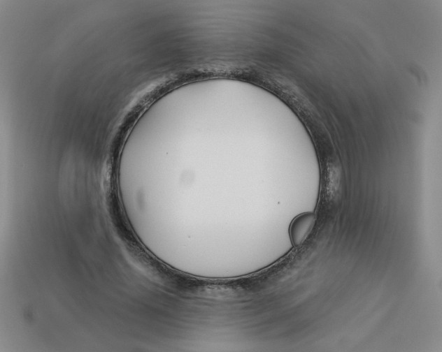 X0000113340636200910131219
