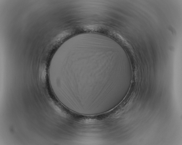 X0000113340637200910131219