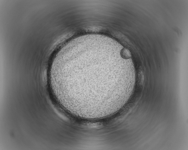 X0000113340638200910131219