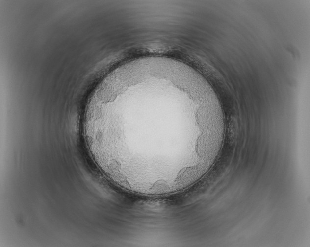 X0000113340639200910131219