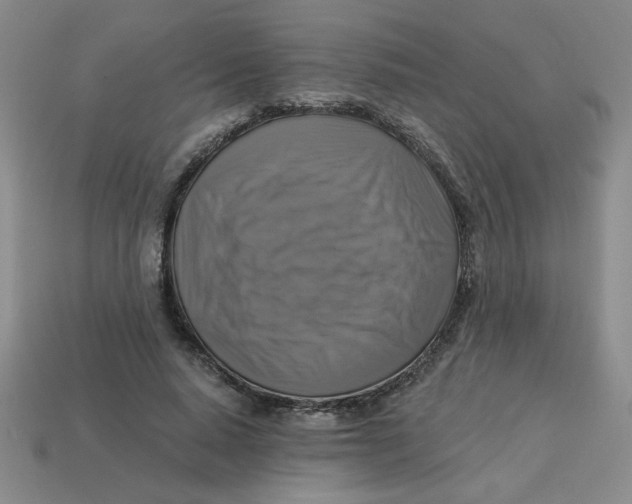 X0000113340640200910131219