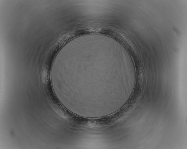 X0000113340641200910131219