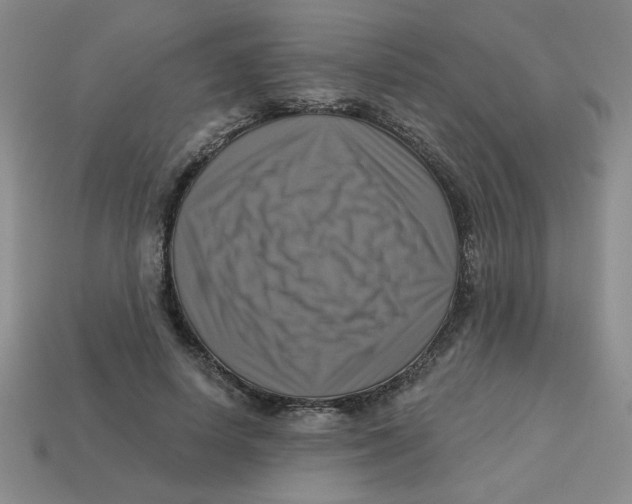 X0000113340642200910131219