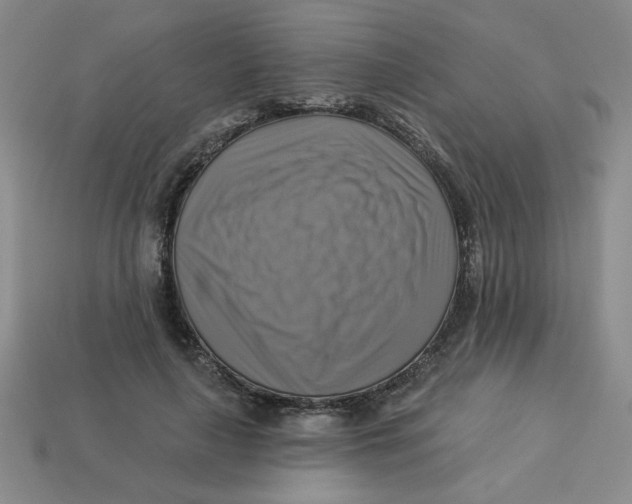 X0000113340643200910131219