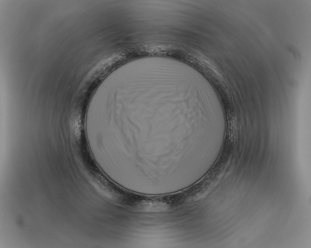 X0000113340644200910131219