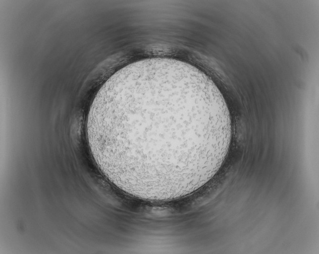 X0000113340645200910131219