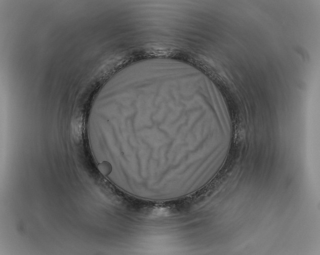X0000113340647200910131219