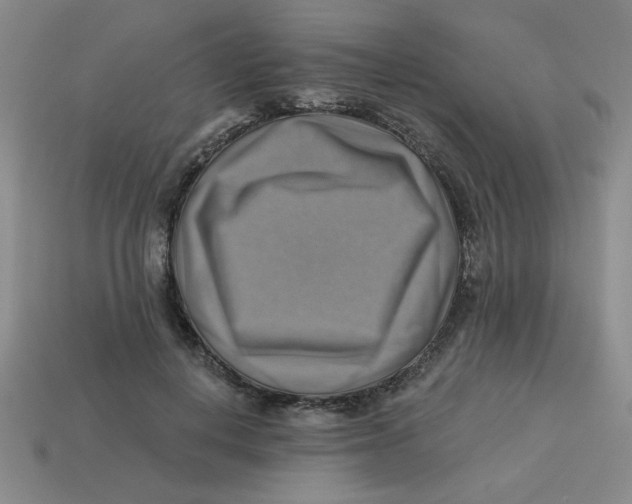 X0000113340648200910131219
