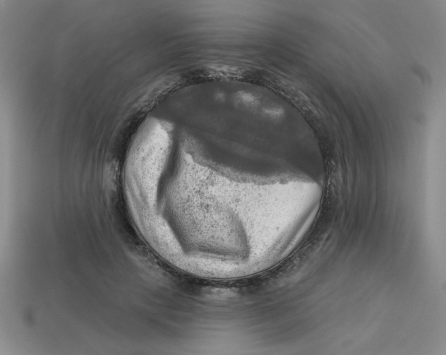 X0000113340649200910131219
