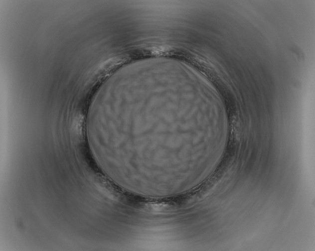 X0000113340650200910131219