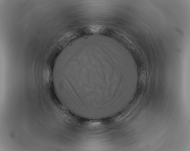 X0000113340651200910131219