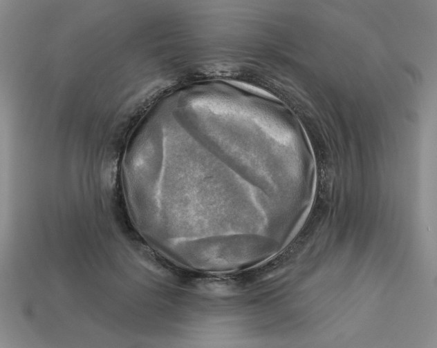 X0000113340652200910131219