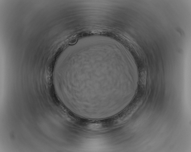 X0000113340653200910131219
