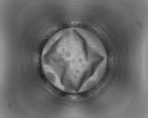X0000113340654200910131219