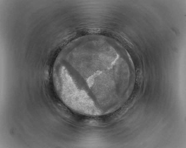 X0000113340655200910131219
