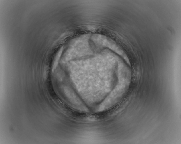 X0000113340656200910131219