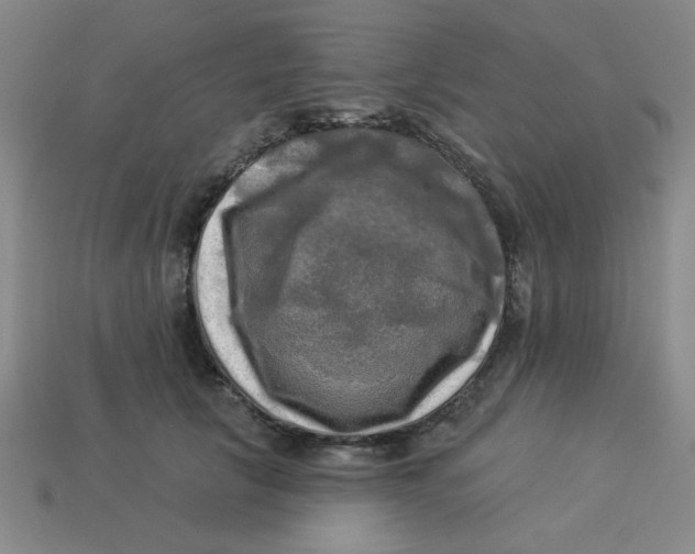 X0000113340657200910131219