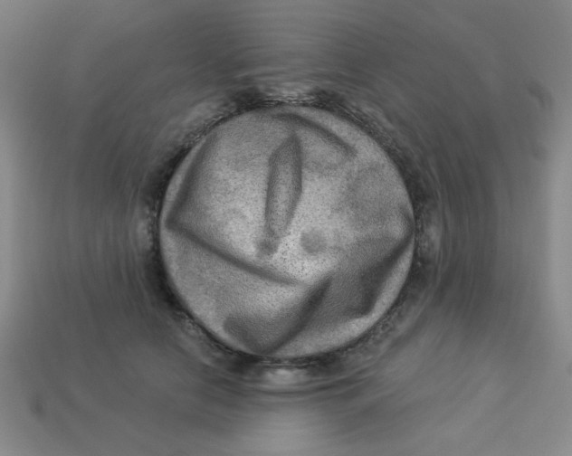 X0000113340658200910131219