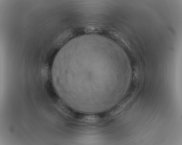 X0000113340659200910131219