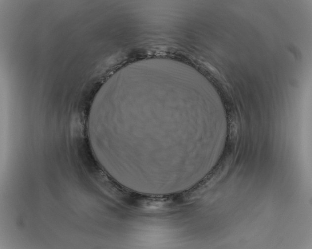 X0000113340661200910131219