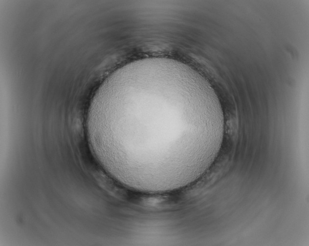 X0000113340662200910131219