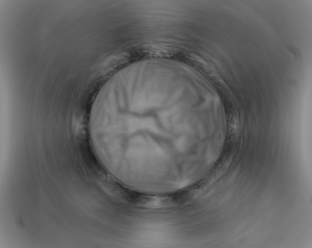 X0000113340663200910131219