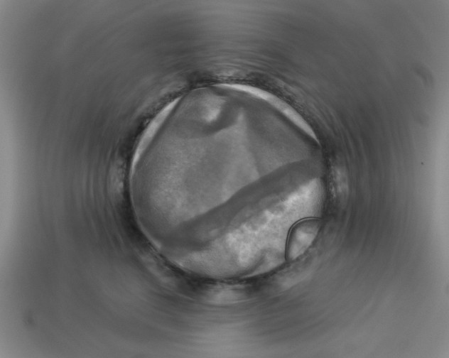 X0000113340664200910131220