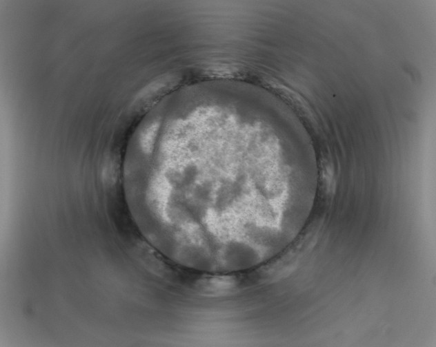X0000113340665200910131220