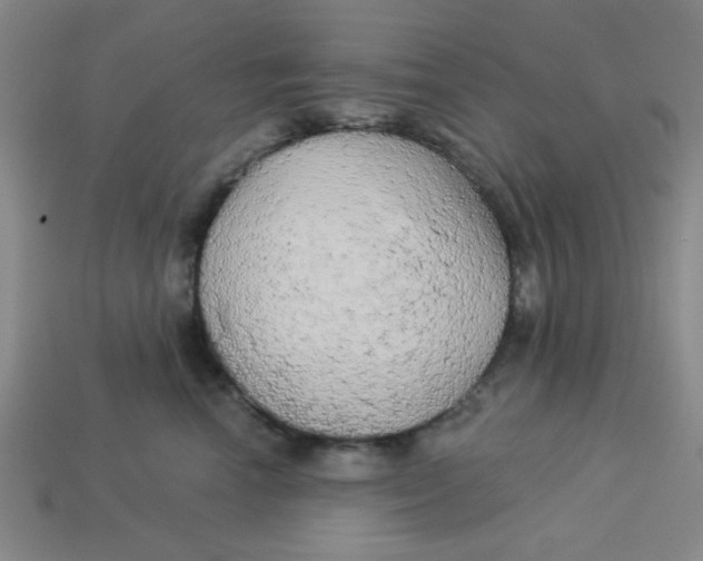 X0000113340666200910131220