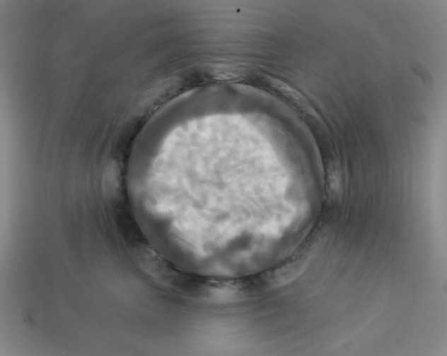 X0000113340667200910131220