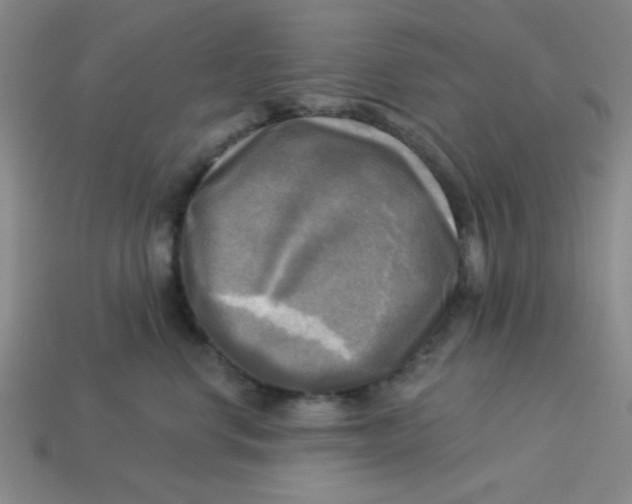 X0000113340668200910131220