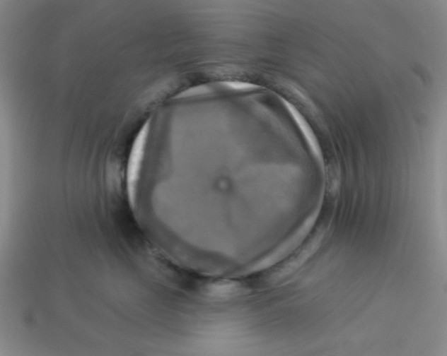 X0000113340669200910131220