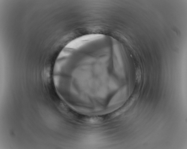 X0000113340670200910131220