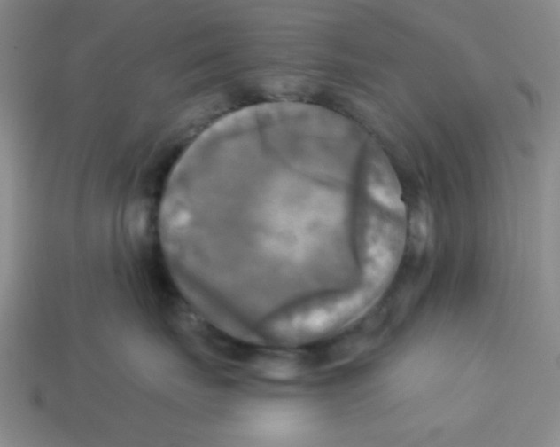 X0000113340671200910131220