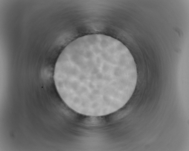 X0000113340672200910131220