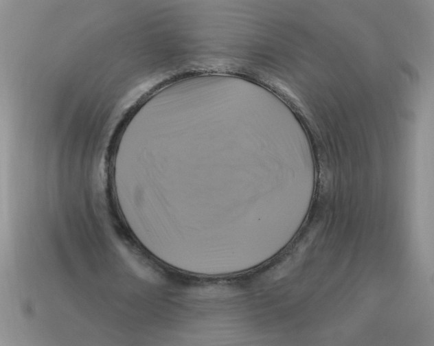 X0000113340674200910131219
