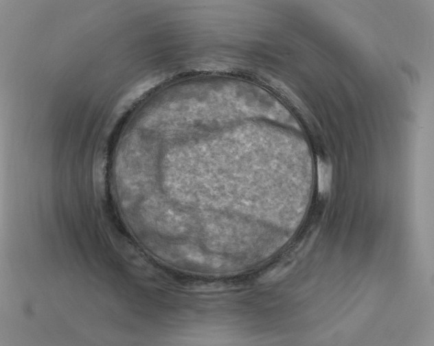 X0000113340675200910131219