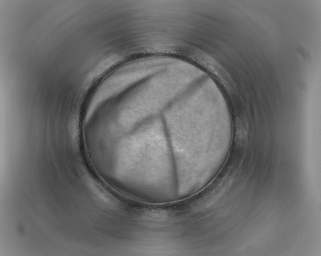 X0000113340677200910131219