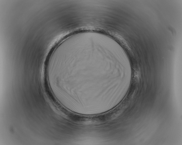 X0000113340678200910131219