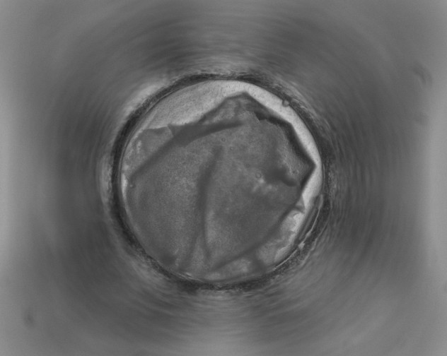 X0000113340679200910131219