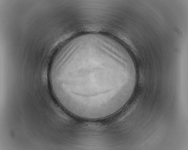 X0000113340681200910131219