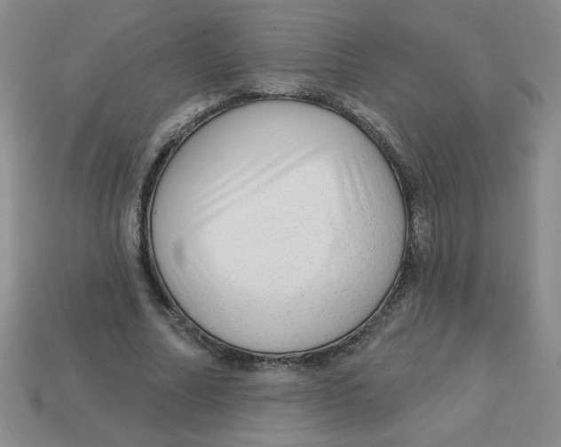 X0000113340682200910131219