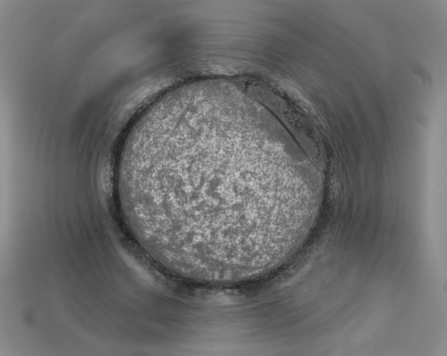 X0000113340683200910131219