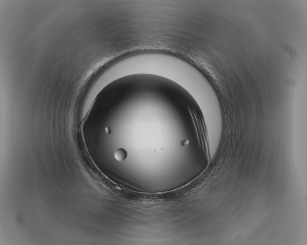 X0000113340684200910131219