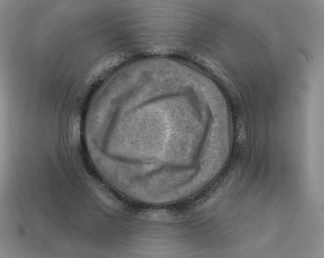 X0000113340685200910131219